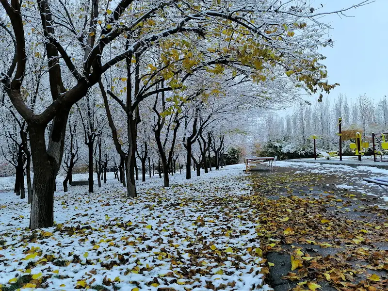 Seasonal Marketing Pages