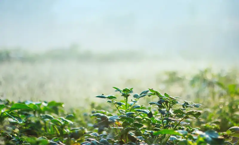 SEO-Ready Landscaping Sites That Rank on Google