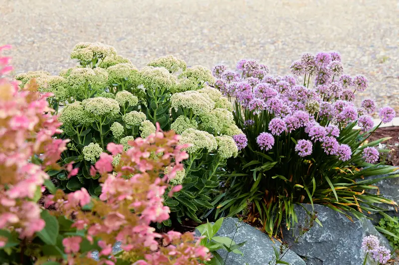 Review Generation for Landscaping Companies